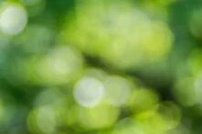 Unscharfe grün-gelbe Lichtkreise vor dunklem Hintergrund.