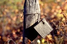 Die Ausstellung "Zone der Unmenschlichkeit" zeigt den Horror der sowjetischen Gulags bis hin zum aktuellen Krieg in der Ukraine.