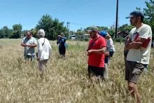 everal people stand in a grain field; one takes a photo while others listen to a man speaking.