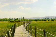 A wooden walkway with rope railings leads through a green meadow toward a line of trees and distant hills.