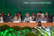 People are sitting at a long table at a climate conference, with plants in the foreground and the words “PRE-COP30 MEETING” in the background.