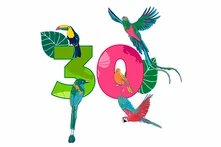 Grafik: Große bunte Zahl 30, umgeben von fünf tropischen Vögeln in kräftigen Farben, mit grünen Blättern im Hintergrund.