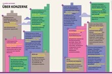 Infografik mit 12 Punkten zur Macht großer Agrar- und Lebensmittelkonzerne: Sie dominieren Märkte, beeinflussen Preise und Politik, schaden Umwelt und Gesundheit und setzen Bäuer*innen unter Druck. Gefordert werden Kartellrecht, faire Preise und Ernährungsdemokratie.
