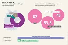 Infografik zu Lobbybudgets in Deutschland und der EU. Von den 100 Akteuren mit den höchsten Lobbybudgets in Deutschland sind 81 Konzerne oder Wirtschaftsverbände. In der EU geben Tech-, Finanz- sowie Chemie- und Agrarindustrie am meisten für Lobbyarbeit aus.