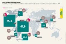 Weltkarte zur Anbaufläche gentechnisch veränderter Pflanzen 2024. Die größten Flächen liegen in den USA und Brasilien, gefolgt von Argentinien. In Ländern wie Indien, Kanada und China ist der Anteil deutlich kleiner, gemessen an der gesamten Anbaufläche.