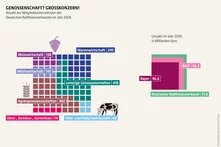 Infografik mit dem Titel „Genossenschaft? Großkonzern!“. Dargestellt ist die Anzahl der Mitgliedsunternehmen des Deutschen Raiffeisenverbandes im Jahr 2024 nach Bereichen. Am größten sind Agrargenossenschaften mit 492 Mitgliedern, gefolgt von sonstigen Genossenschaften mit 418 und der Warenwirtschaft mit 295. Weitere Bereiche sind Milchwirtschaft (147), Weinwirtschaft (138), Obst-, Gemüse- und Gartenbau (79) sowie Vieh- und Fleischwirtschaft (66). Rechts zeigt die Grafik den Umsatz 2024: Der Deutsche Raiffe