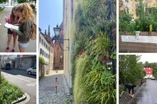 Collage zur Darstellung des Bildungsprojektes KLIMA².