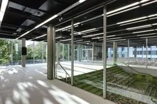 Moderner Innenraum mit Glaswänden, Treppenabgang und großen Fenstern; lineare Deckenleuchten und Bäume draußen.