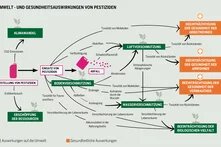 Diagramm zeigt Umwelt- und Gesundheitsauswirkungen von Pestiziden. Pfeile verbinden Themen wie Klimawandel, Boden- und Wasserverschmutzung, Gesundheit.