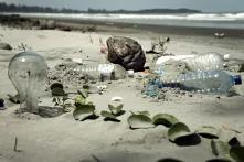 Trash on a beach