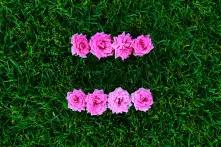 equal sign