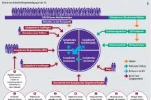 Grafik: Direkte und indirekte Bürgerbeteiligung in der EU