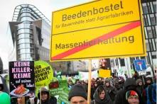 Protestierende auf der Demo "Wir haben es satt" gegen eine subventionierte, umweltschädliche Landwirtschaft am 13. Januar 2013 in Berlin