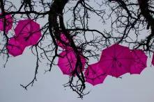 Pinke Regenschirme hängen in einem Baum