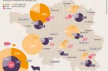 Grafik: Nutzviehhaltung im Saarland