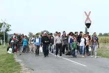 Migrants in Hungary near the Serbian border (August 25, 2015)