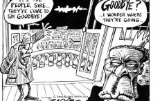 Cartoon von Zapiro zur aktuellen Situation in Simbabwe