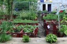 The princess garden in Berlin is more than an urban farming project, its pretty much a think tank for urban gardening