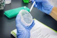 A researcher examines cells.