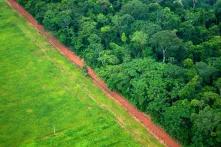 An aerial photograph shows the contrast betwenn forest and agriculture close to the Rio Branco, Acre, Brasil.