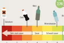 Infografik aus dem Meeresatlas 2017: Die Zukunft wird sauer