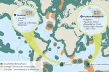 Infografik aus dem Meeresatlas 2017: Ocean Governance – Wem gehört das Meer?