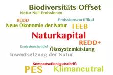 Neue Ökonomie der Natur: Glossar