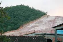 Neue Ökonomie der Natur: REDD verhindert keine Waldzerstörung