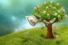New Economy of Nature: Natural Capital and Gross Domestic Product as a Controversial Indicator