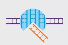 Infographic from the Agrifood Atlas 2017 – Genome Editing with the CRISPR/Cas9 method, (Cutout)