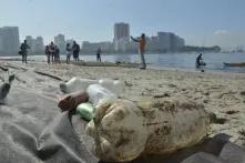 Leere Plastikflaschen an der Guanabara-Bucht in Rio de Janeiro, Brasilien.