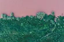 Pink river with green grass in Phalaborwa, South Africa