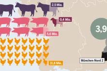 Infografik Fleischatlas 2018