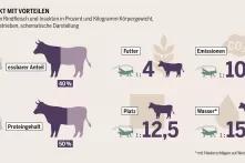 Effizienzvergleich von Rindfleisch und Insekten im Fleischatlas 2018