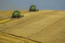 Landwirtschaftliche Maschinen in einer Monokultur