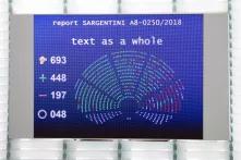 Chart, showing votes and seating of EU Parliament members, debating the Sargentini report