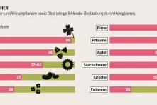 Agraratlas - Infografik - Ertragsminderung bei Acker- und Wiesenpflanzen sowie Obst infolge fehlender Bestäubung durch Honigbienen