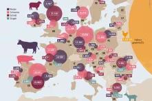 Agraratlas - Infografik - Nutztierbestände in der EU und ihre Verteilung