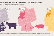 Agraratlas 2019 - Infografik - Zentren der Nutztierhaltung