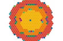 data visualization image: a pattern of coloured dots