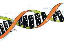 Böll.Thema Illustration - DNA
