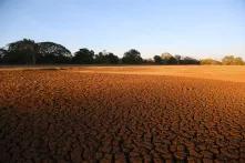 Dry river bed in SriLanka