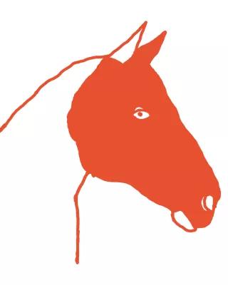 Böll.Thema - Illustration - Pferdekopf