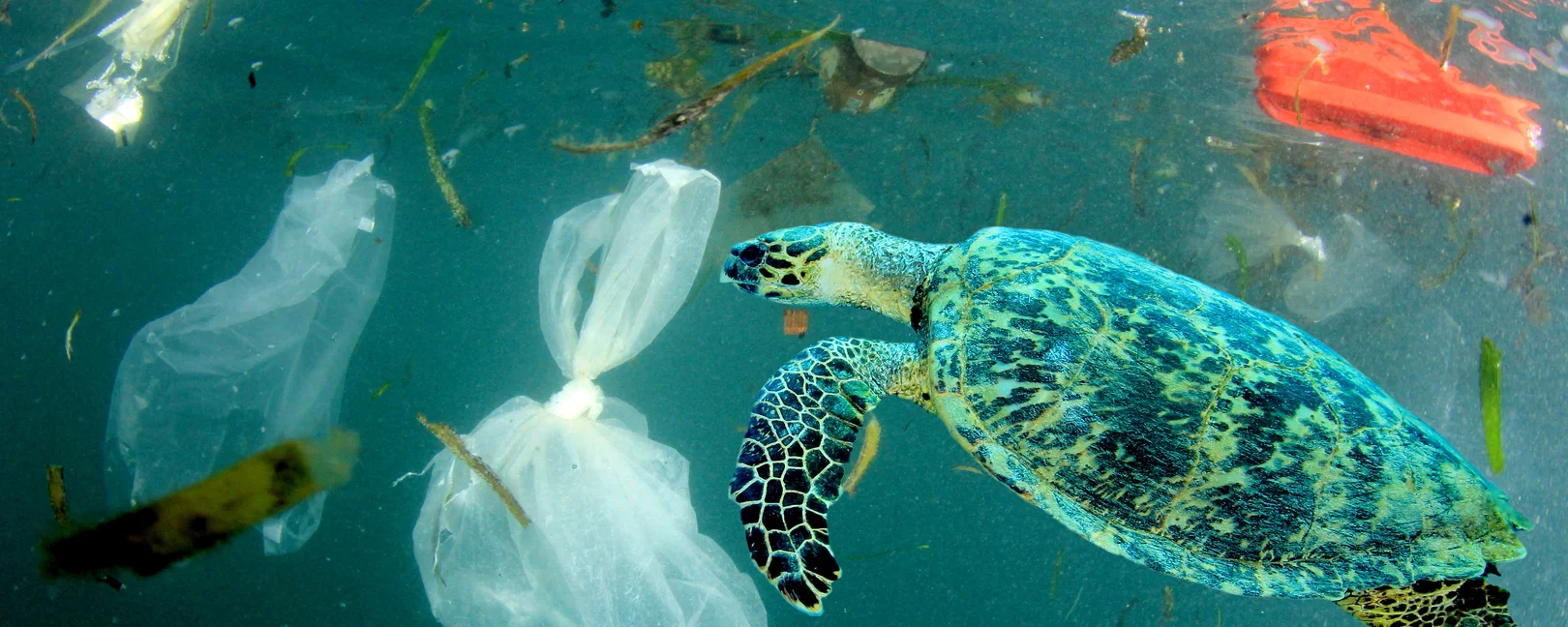 Plastik