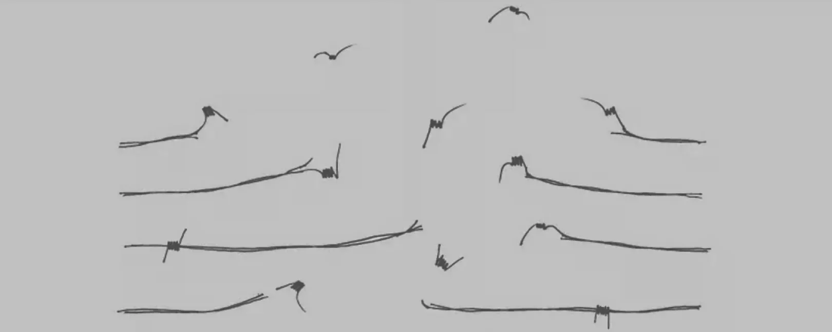 Hand drawn illustration of a freedom concept