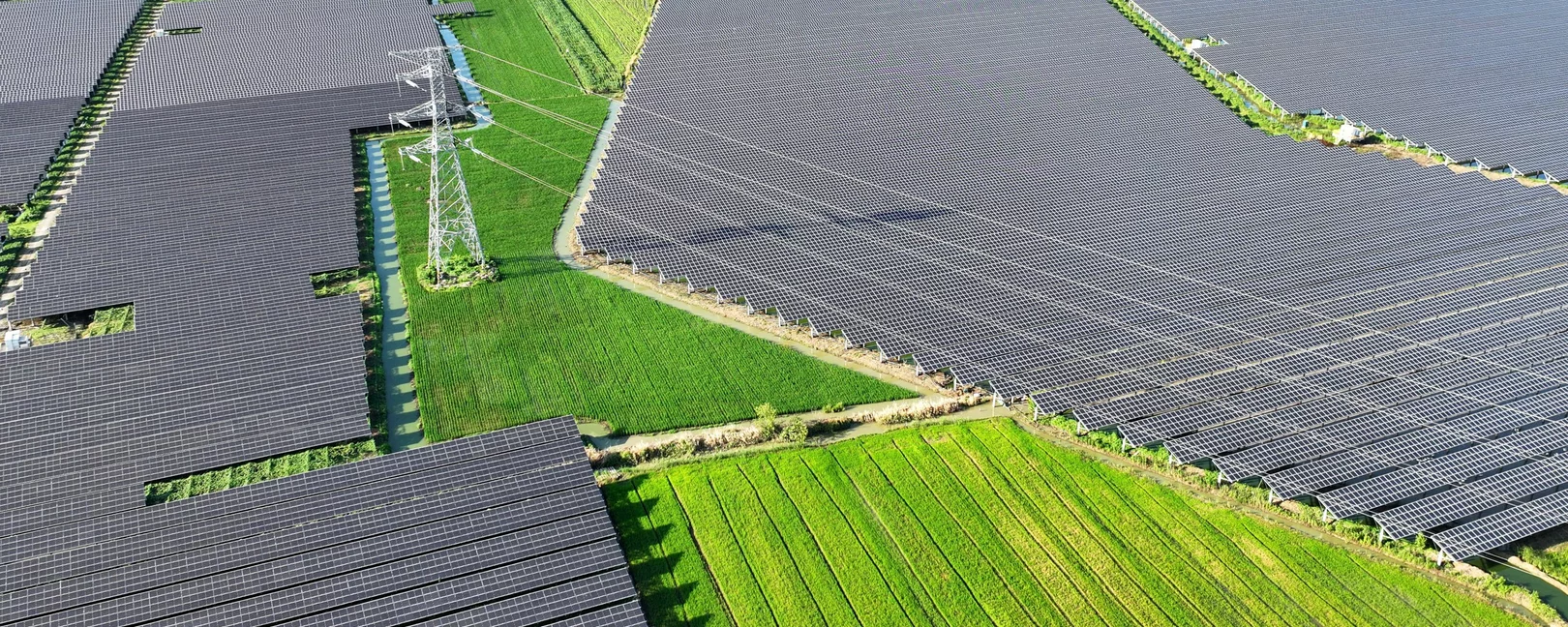 hbs Bildbeschreiber sagte:Large solar panel fields cover most of the landscape, with narrow green crop rows and power lines running through the area.