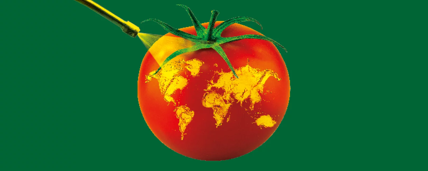 Illustration: Eine Tomate mit Weltkarte darauf wird von einer Sprühflasche besprüht.