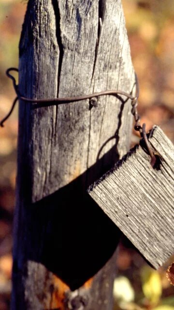 Die Ausstellung "Zone der Unmenschlichkeit" zeigt den Horror der sowjetischen Gulags bis hin zum aktuellen Krieg in der Ukraine.