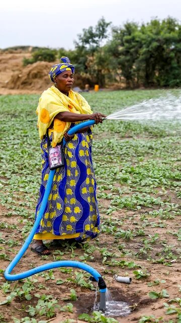 Eine Frau bewässert ihr Feld im Dorf Notto, Senegal.