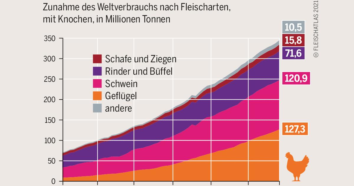 www.boell.de